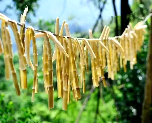 吃春笋，不可辜负的至鲜皖味